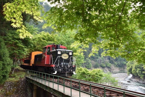京の夏花物語!爽快!嵯峨野トロッコ列車に乗って!「楊谷寺あじさいウィークと美しき花手水」&「大原三千院あじさい祭」【三日市・河内長野・富田林・藤井寺発】1